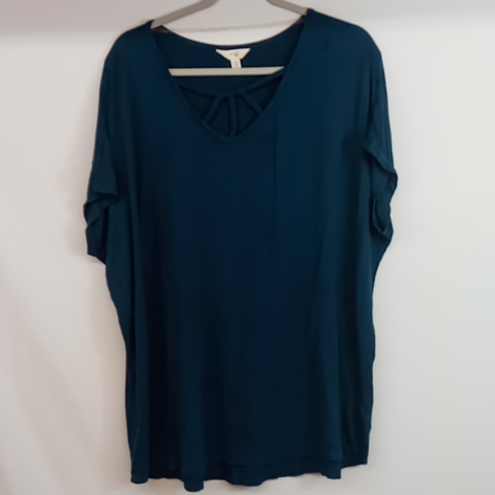 Womens terra & sky top size 1x